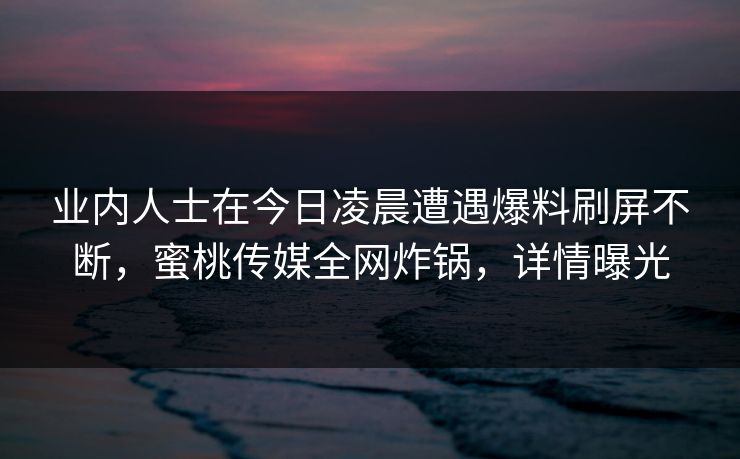 业内人士在今日凌晨遭遇爆料刷屏不断，蜜桃传媒全网炸锅，详情曝光