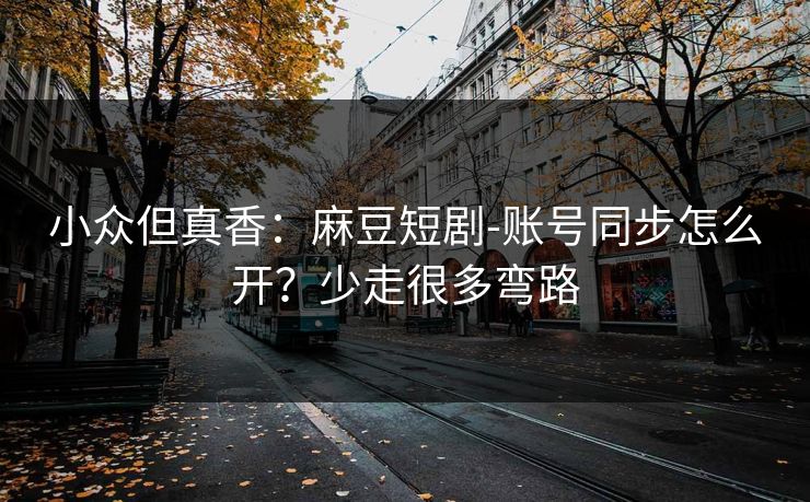 小众但真香：麻豆短剧-账号同步怎么开？少走很多弯路