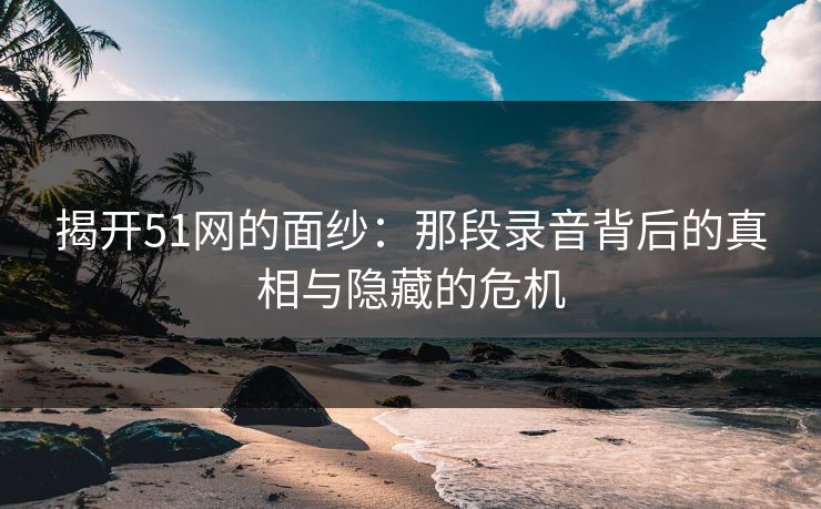 揭开51网的面纱：那段录音背后的真相与隐藏的危机